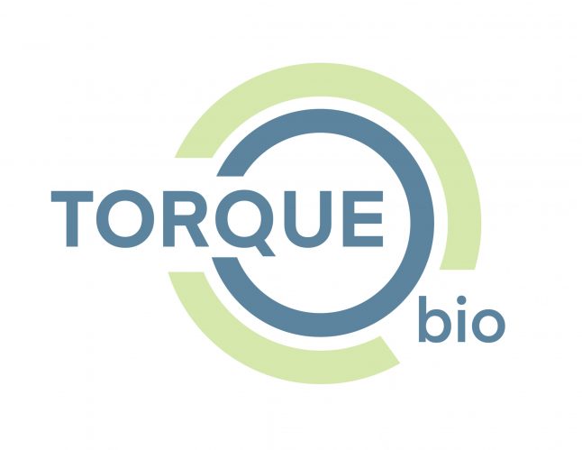 Color logo